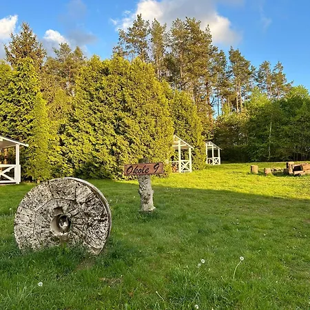 Domki W Lesie Silnowo Exteriér fotografie