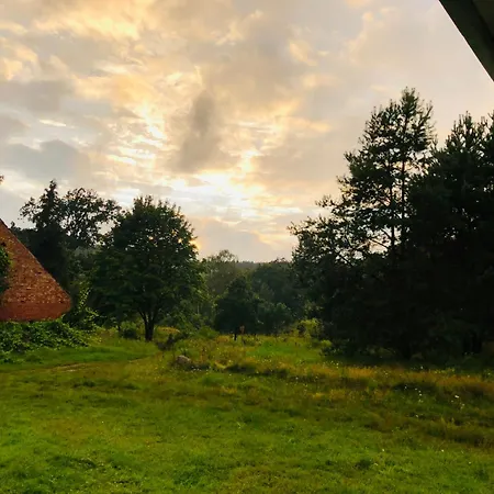 Domki W Lesie Silnowo Exteriér fotografie